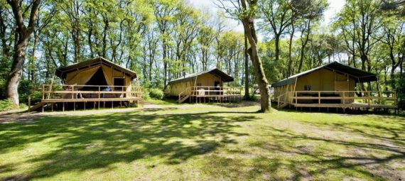 Kamperen in Nederland